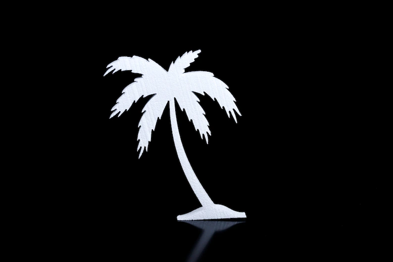 Palm Tree